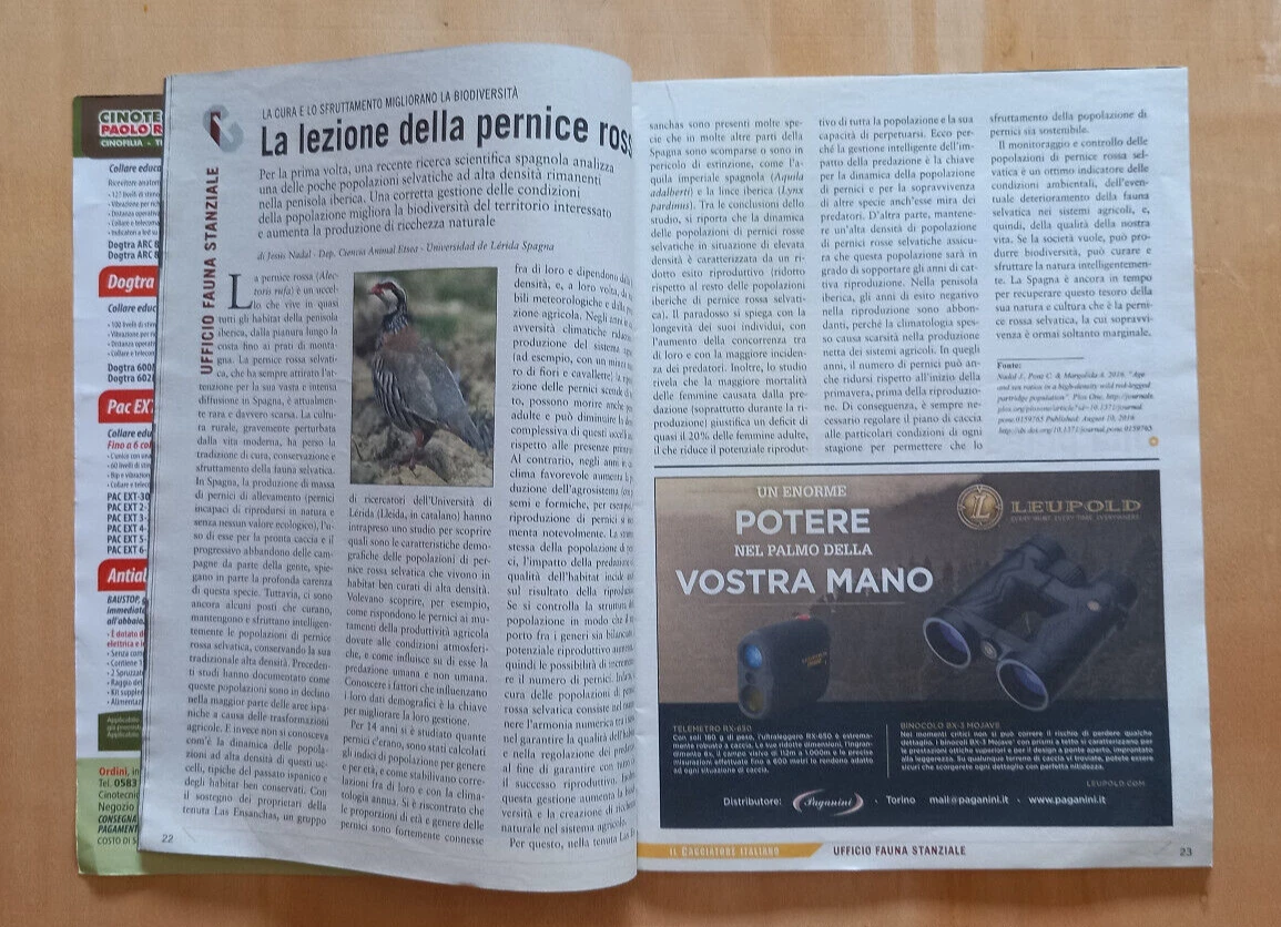 Foto 4 di 6
