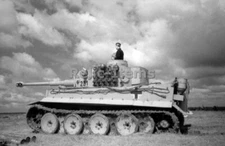 WW2 Picture Photo German Tiger I Tank armored commander out battlefield 0814