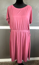 Anthropologie Saturday Sunday Women's Size L Pink Short Sleeve Cinch Waist Dress