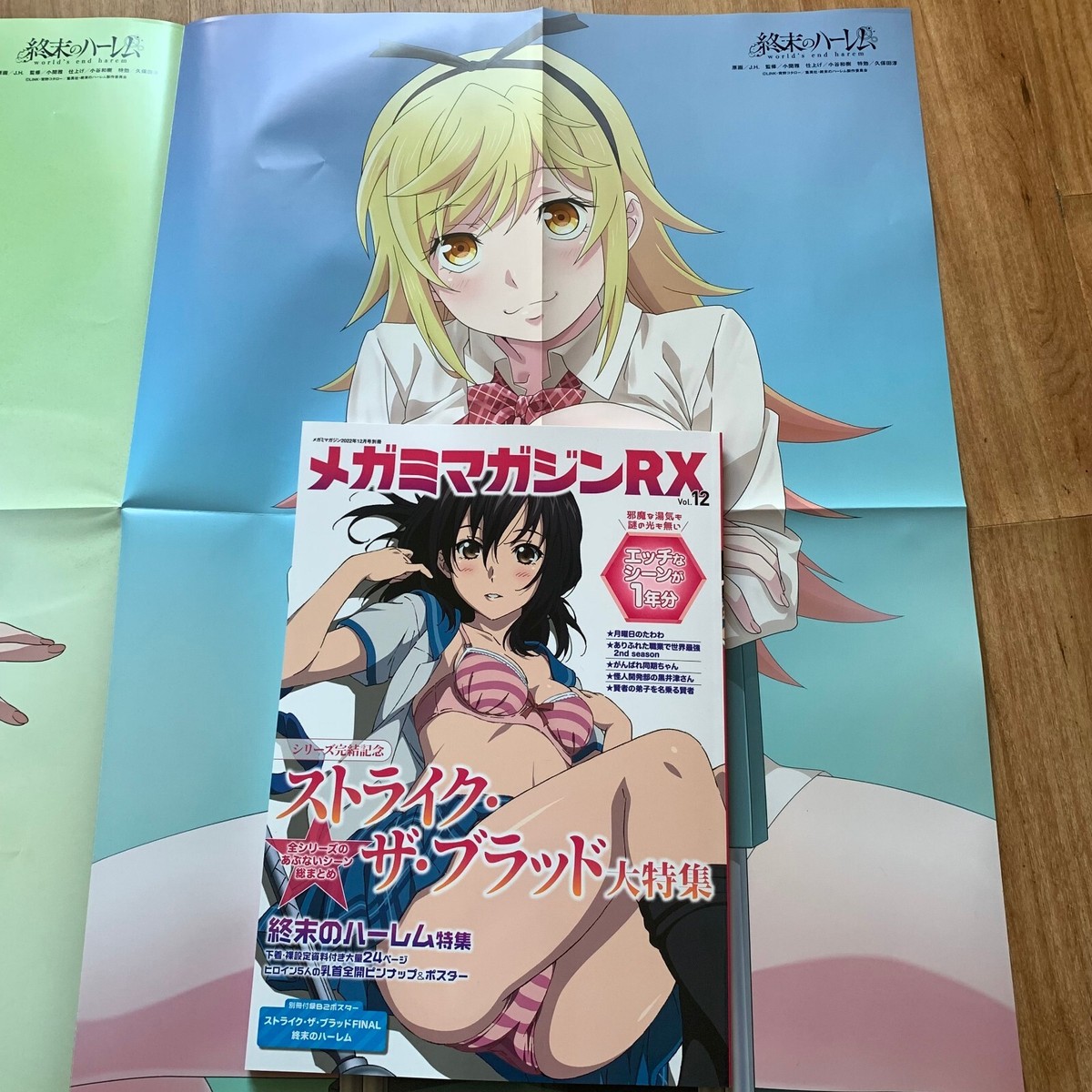 メガミマガジンRX vol.12 2022年12月 シュリンク付き メガミマガジンRX Vol.12 2022年 12 月号 [雑誌]: Megami