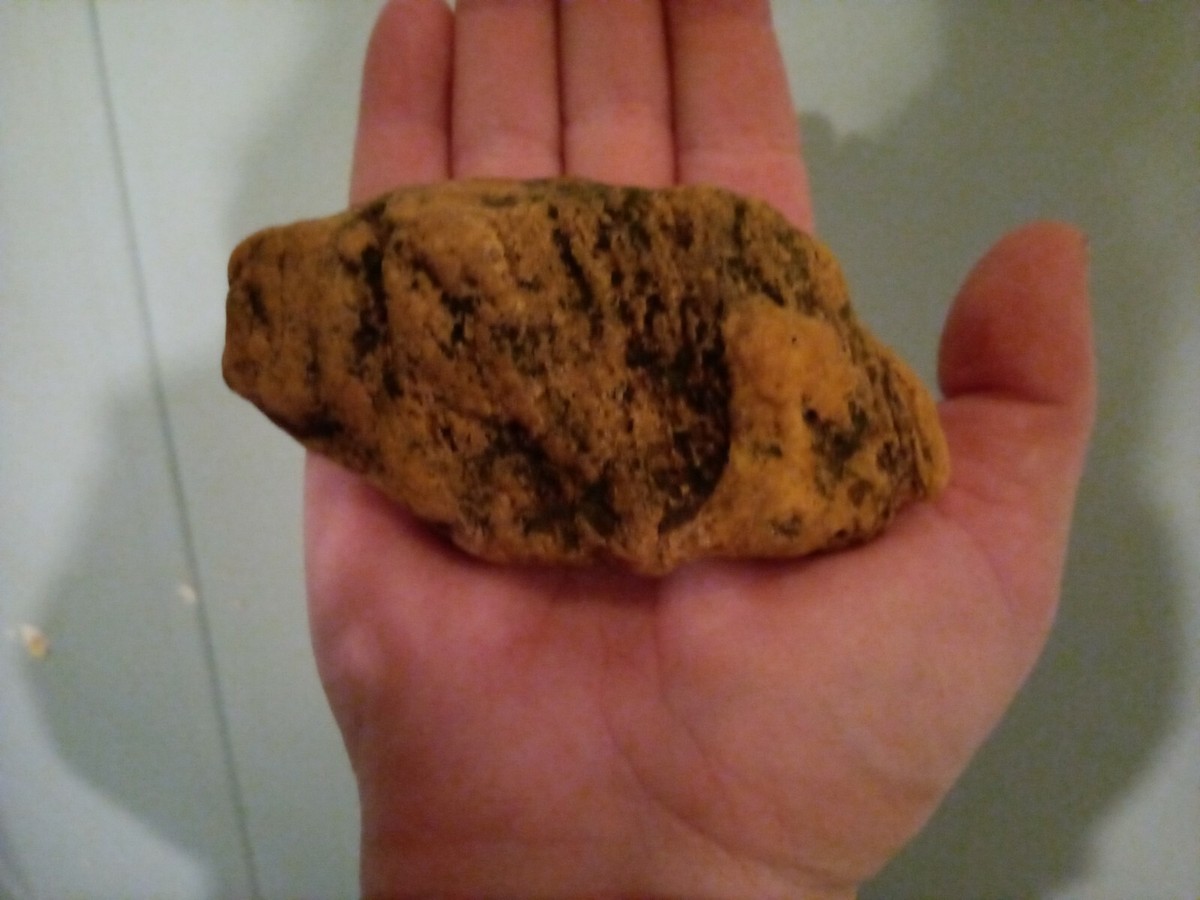 Prehistoric Native American Portable Rock Art 100's of carvings