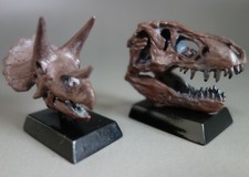 T-REX Triceratops Tyrannosaurus rex king Dinosaur mini skull Jaws model Favorite