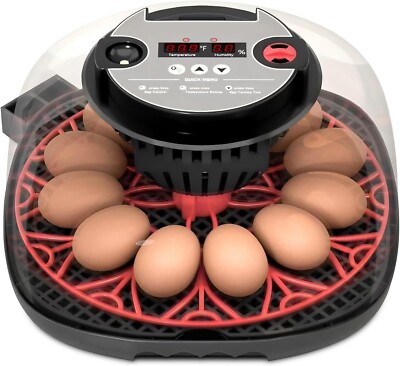 12 Egg Incubator Automatic Egg Turning, Temperature & Humidity Control with Digi