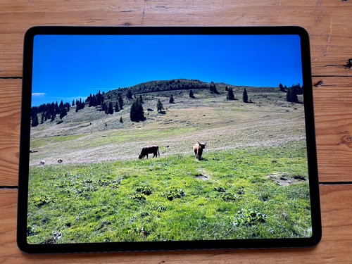 Apple iPad Pro 12.9 Zoll 3. Generation 256GB schwarz - Bild 7 von 12
