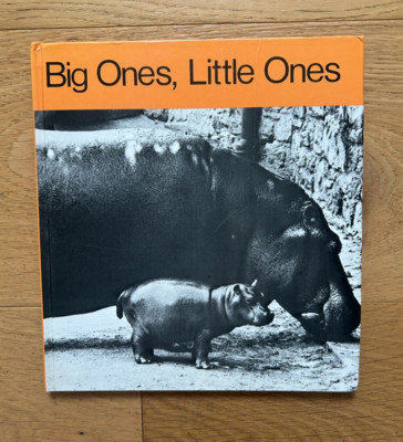 One Little Kitten by Tana Hoban & Mary Rowe 1981 Vintage Hardcover