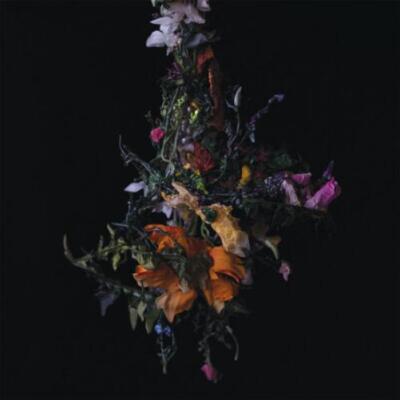 Big Brave Nature Morte (CD) Album