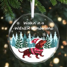 Christmas Ornaments 2025 - Dachshund Christmas Decorations Weiner Dog Decor D...