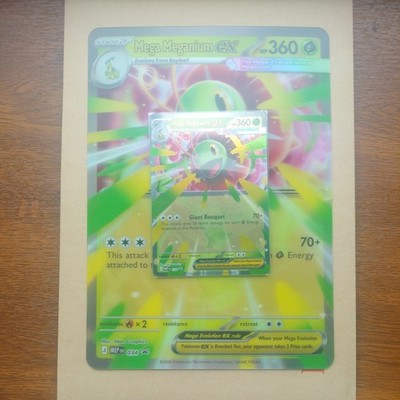 Pokemon Tcg Ascended Heroes Ascended Heroes Mega Meganium Ex 034 Black Star