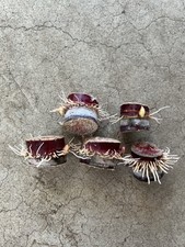 5pcs Rooted Dark Purple Sugarcane Cutting Sweet Juicy Ready To Plant