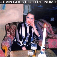 Levin Goes Lightly / Numb (Lp) / Tapete / 05259091 / 12 Inch