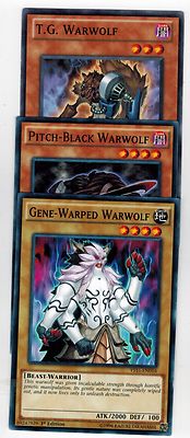 Pitch-Black WarWolf + T.G.Warwolf +Gene-Warped Warwol YS16 Set 1st
