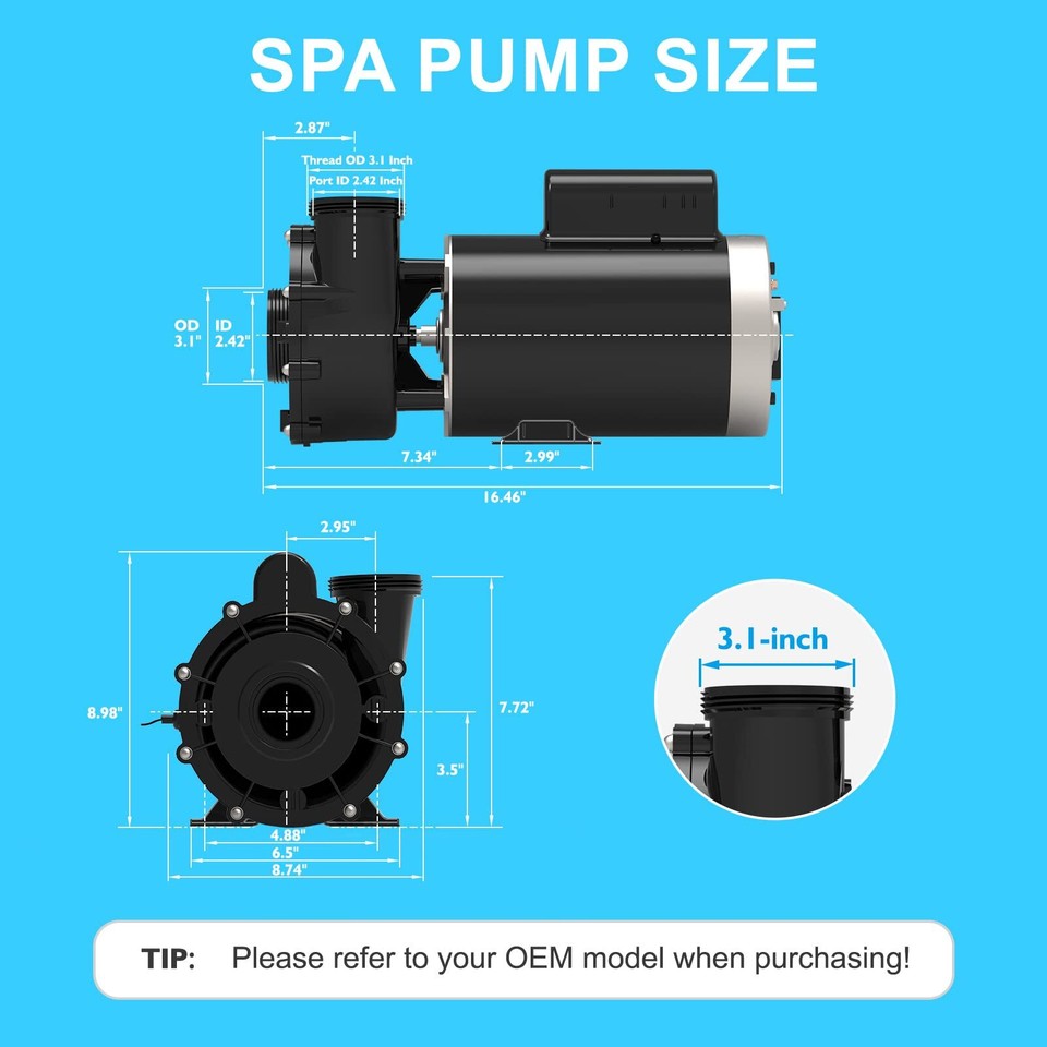 LX 4HP 2-Speed Pool Pump 56WUA400-II – 230V Dual Suction With Mounting Feet