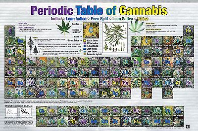 Pot Chart