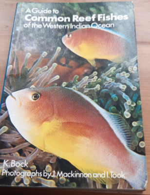 A Guide to Common Reef Fishes of the Western Indian Ocean