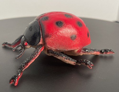 Giant Soft Plastic Bug Homeschooling Toy LADYBUG 4” | eBay