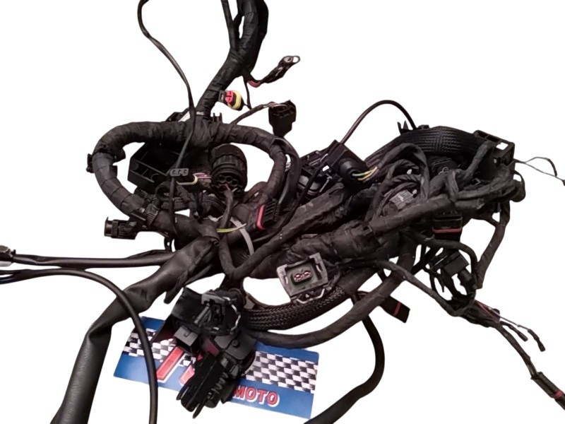 cablaggio elettrico electrical wiring bmw F 800 S-GT 06-12 802EA