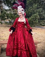 18th Century French Queen Marie Antoinette Costume Red Baroque Dress Luxurious
