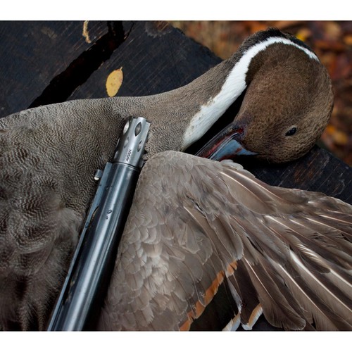 Waterfowl Crusher Choke, Benelli Mobil 12 Gauge Light Modified, Wide Groove T... - Picture 5 of 6