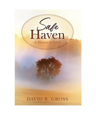 Safe Haven: A Historical Novel: A Historical Novel, David R. Gross