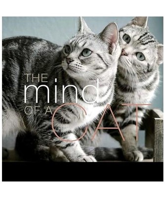 The Mind of a Cat, Liz Abeler Blaylock