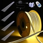 DELight Outdoor AC 110V 100FT Warm White LED Neon Rope Lights Channel Railing — photo 1
