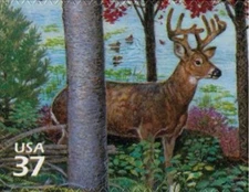 US #3899d MNH 2005 Deciduous Forest White Tailed Deer Odocoileus virginianus