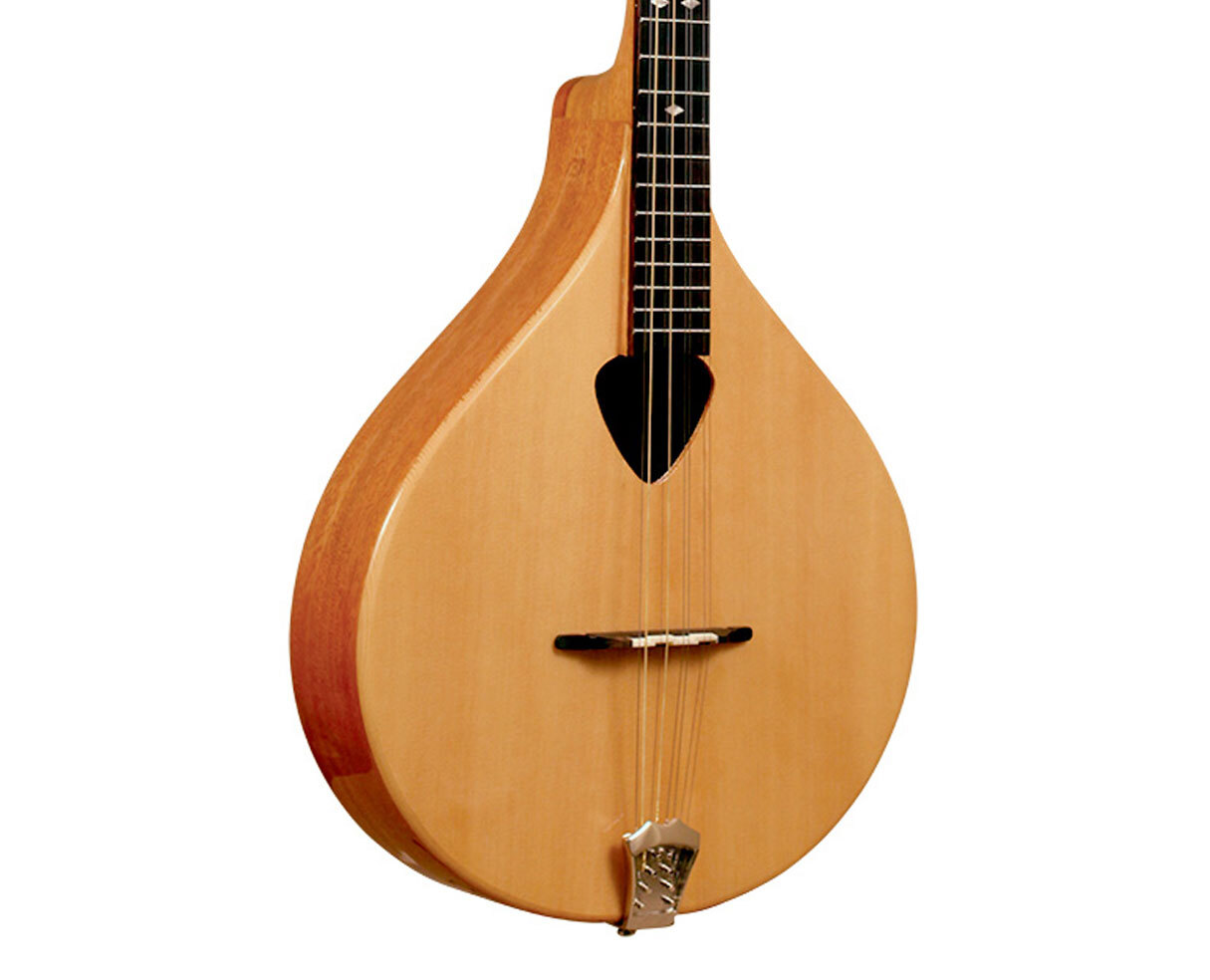 Gold Tone BZ500 Irish Bouzouki BStock 875116002008 eBay