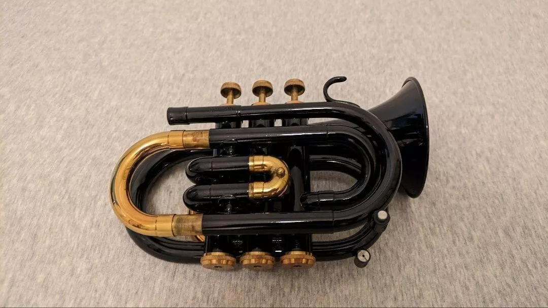 Pocket sales trumpet ebay