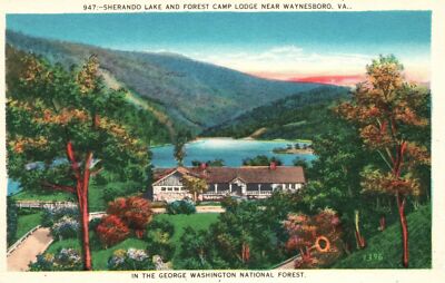 Sherando Lake & Forest Camp Lodge Near Waynesboro Virginia VA Vintage Postcard