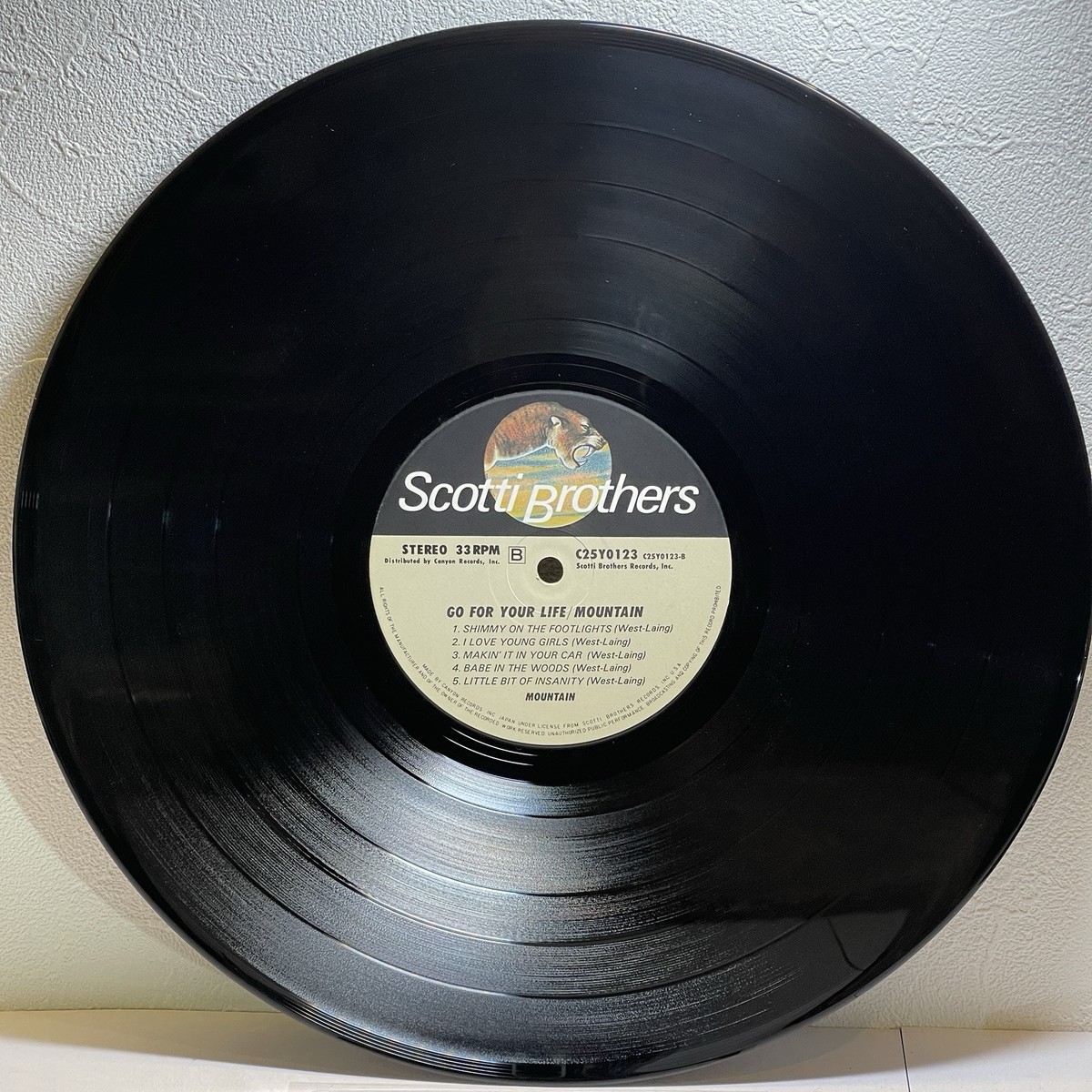 Mountain – Go For Your Life/LP1985 Scotti Bros C25Y0123 w