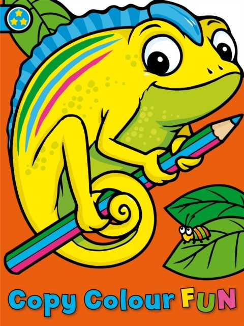 Copy Colour Fun: Chameleon by Angela Hewitt (Paperback Book)