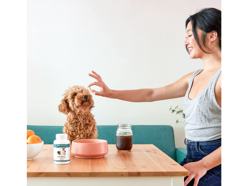 100Tablets Flea Tick Mosquito Repellent Medication Medicine Pills for