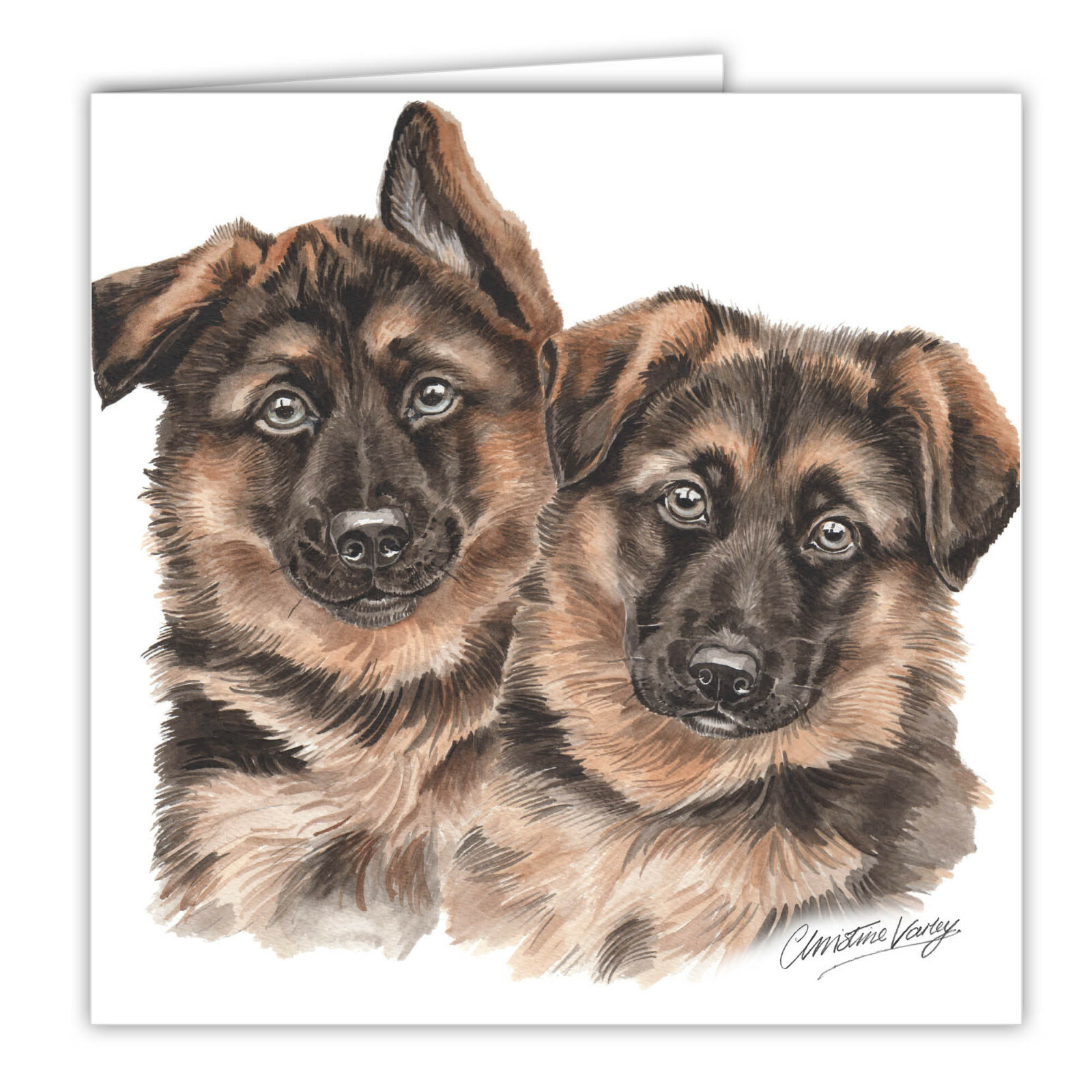 German Shepherd Puppies greetings card dog blank card dogs German Shepherds art