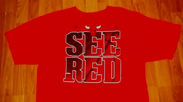 ADIDAS Chicago Bulls See Red Playoffs T-Shirt XL tee NBA Basketball | eBay