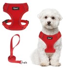PUPTECK Small Dog Harness Leash Set No Pull Adjustable Reflective Puppy Cat Vest