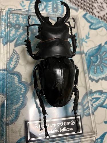 DeAgostini Realistic Insect Figure Set Six Stag Beetles Collectible Toys - Picture 4 of 8