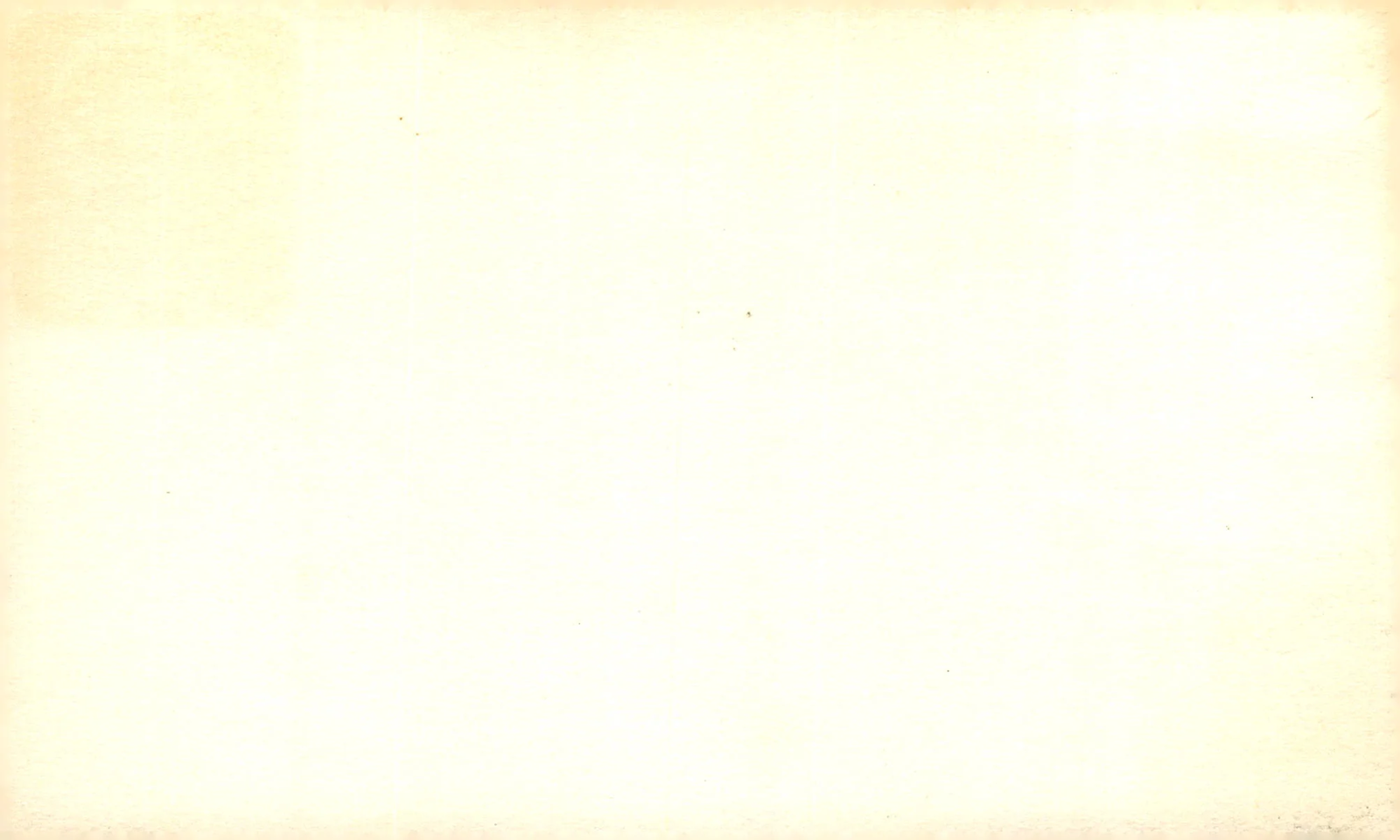 Bild 2 von 2