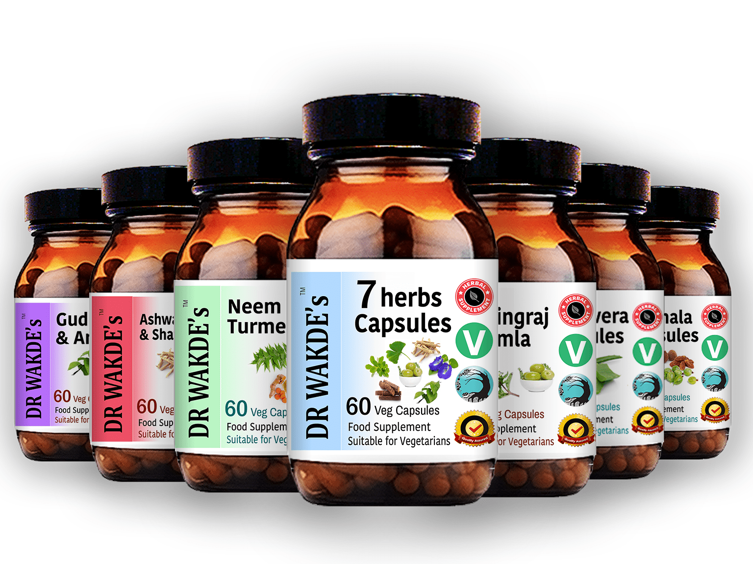 DR WAKDE'S Fennel Seed Capsules 60 Veg Caps Ayurvedic Supplement