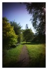 Bild 13 von 24
