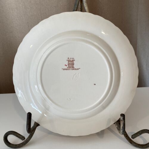 Spode Cowslip Floral Plate 9 England Vintage Botanical Design - Picture 3 of 4