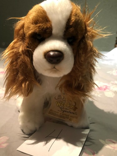 king charles spaniel webkinz