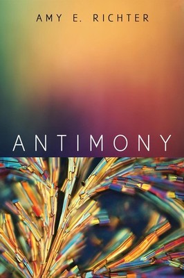 Antimony by Amy E. Richter (English) Paperback Book