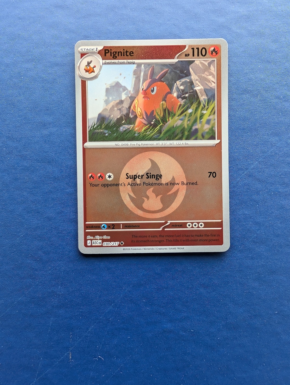 Pokemon Pignite: Ascended Heroes (Reverse HOLO) #30 - MT