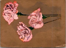 Vintage 1912 Pink Carnation Flower Postcard with Handwritten Message
