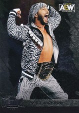 2022 SkyBox Metal Universe AEW #43 Matt Jackson