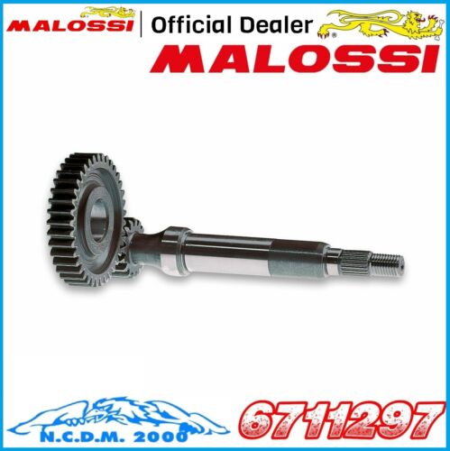 Primary Gears Malossi Z 15/40 Aprilia Scarabeo Ditech 50 2T