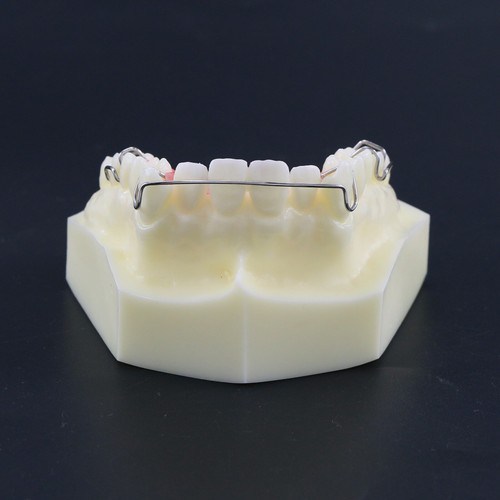 Multiple Types Dental Teeth Model Ortho Implant Practice Teaching Demo Model - Picture 33 of 276