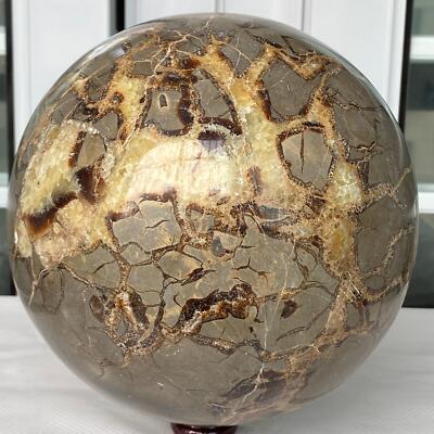 10500G Natural Turtle Back stone dragon crystal ball quartz mineral healing