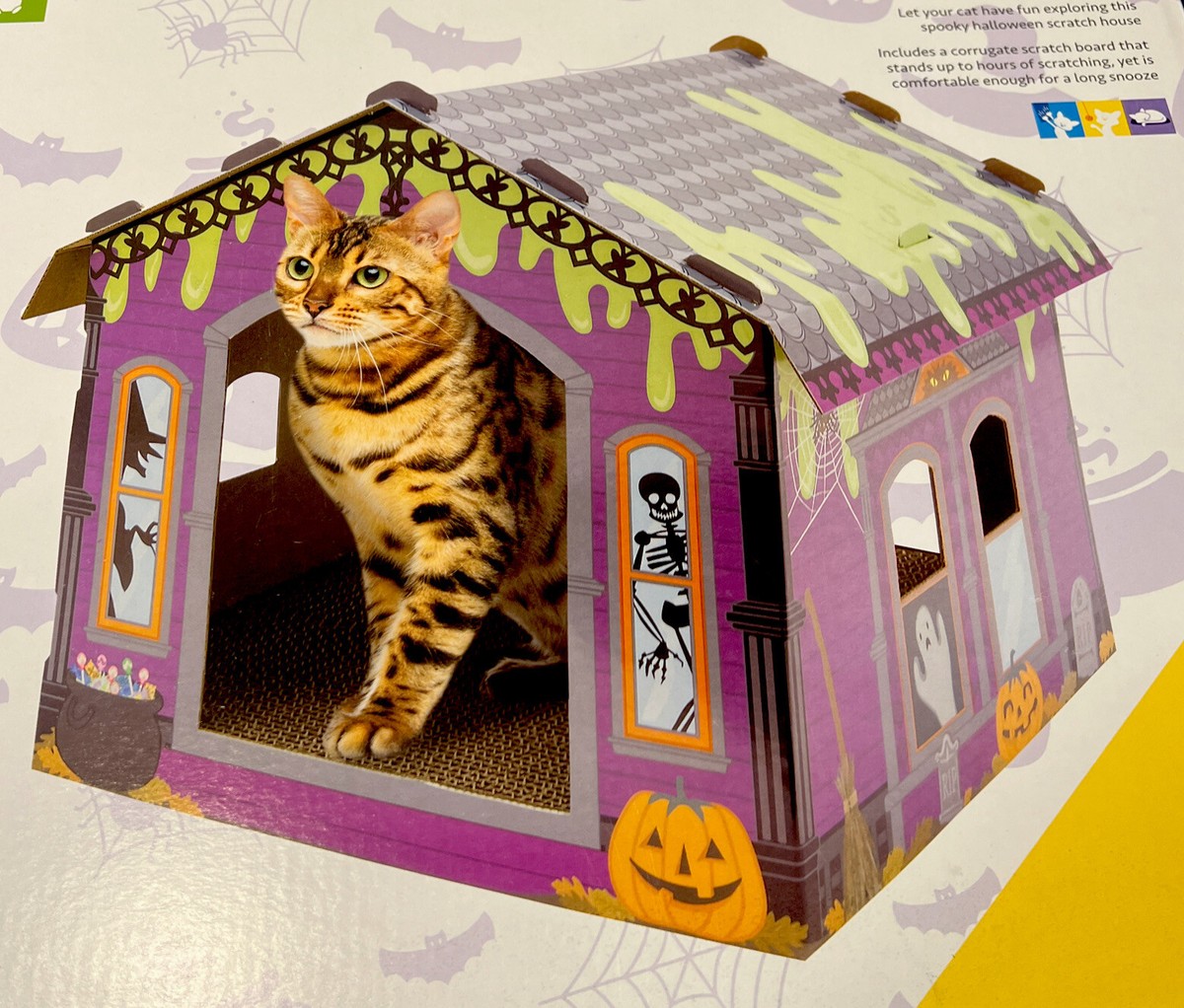 Kitty City Halloween House The Floor is a Cat Scratcher Best Cat Toy