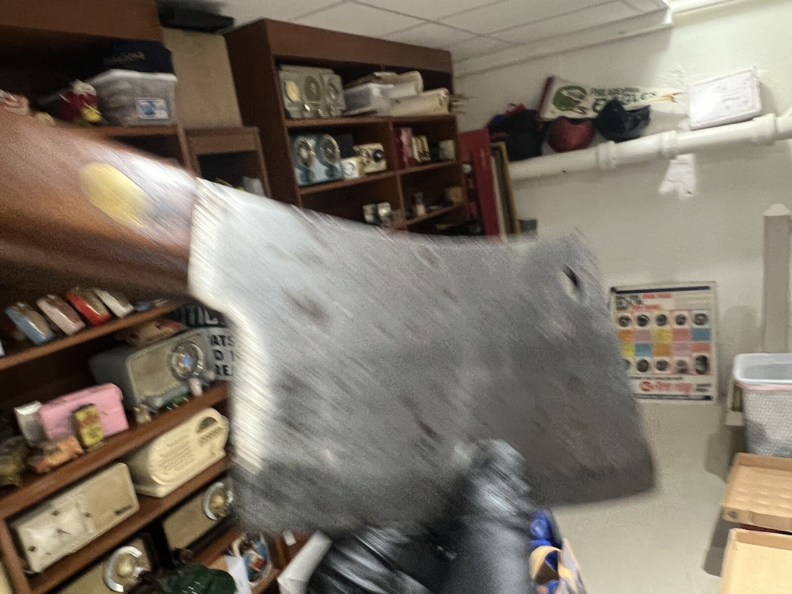 Vintage Briddell of Cristfield No. 800 8" Meat Cleaver Nice Early 💰💰low